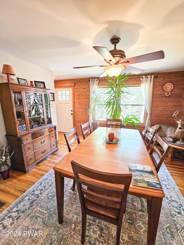 dining area with a wealth of natural light, wood walls, and ceiling fan