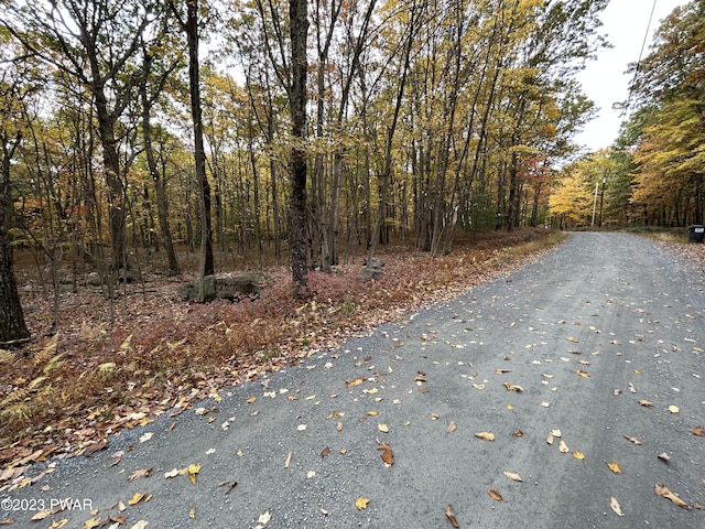 Listing photo 3 for LOT26 Timber Ridge Dr, Shohola PA 18458