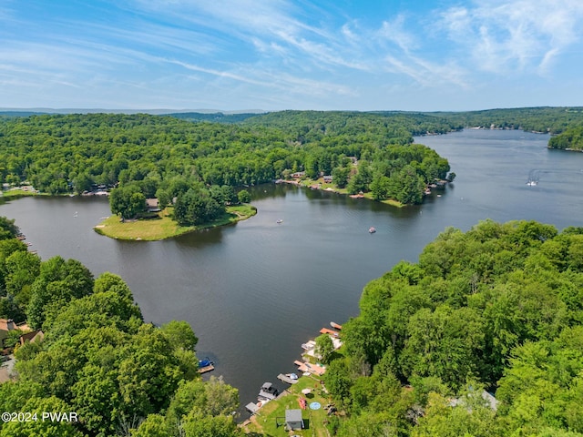 bird's eye view featuring a water view