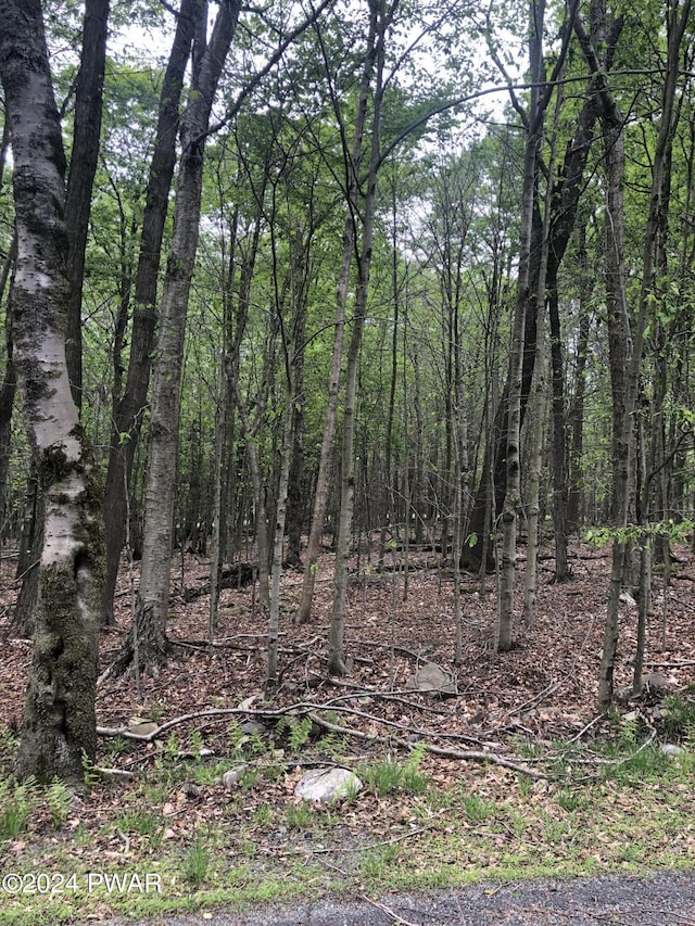 40 Kiowa Trl, Gouldsboro, PA 18424