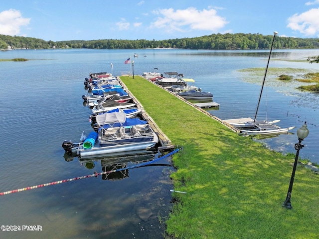 dock area featuring a water view