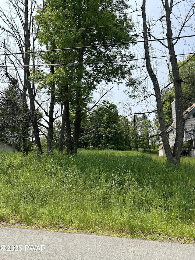 35 Forest Ln, Lake Ariel, PA 18436 - photo 11
