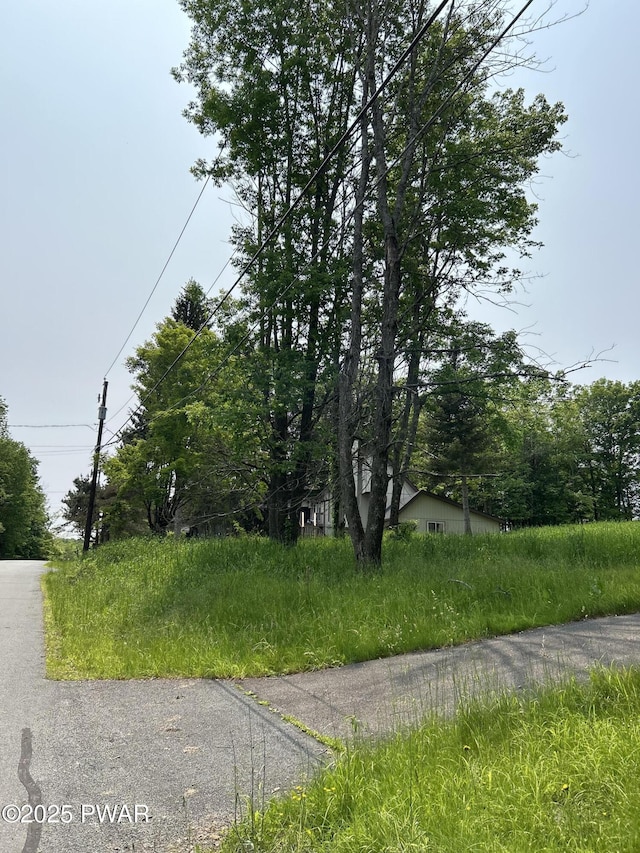 35 Forest Ln, Lake Ariel, PA 18436 - photo 21