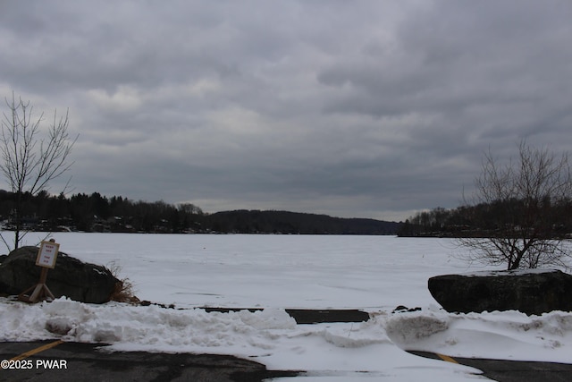 35 Forest Ln, Lake Ariel, PA 18436 - photo 24