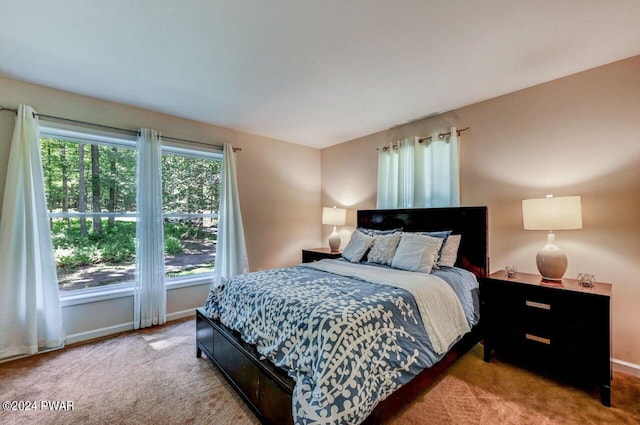 bedroom featuring light colored carpet and multiple windows