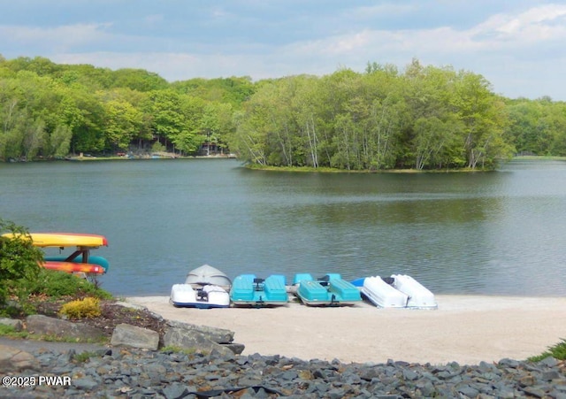 view of water feature with a wooded view