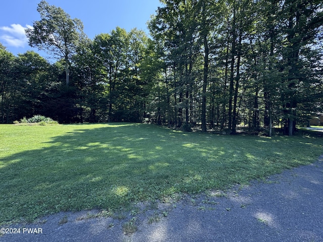 2311 Motichka Rd, Madison Township, PA 18444 - photo 45