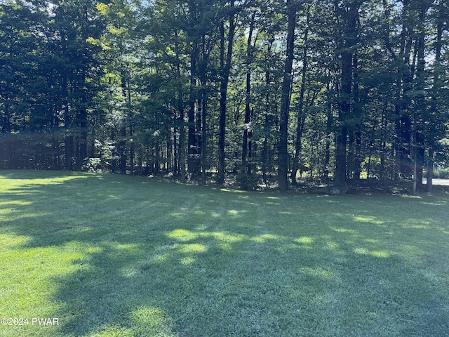 2311 Motichka Rd, Madison Township, PA 18444 - photo 43
