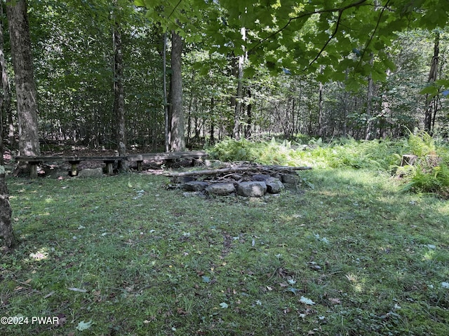 2311 Motichka Rd, Madison Township, PA 18444 - photo 47