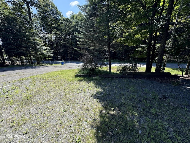 2311 Motichka Rd, Madison Township, PA 18444 - photo 49