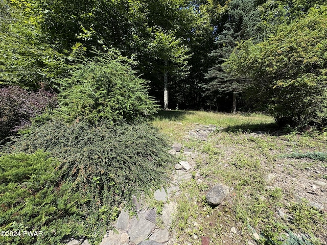 2311 Motichka Rd, Madison Township, PA 18444 - photo 44