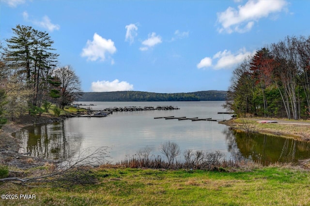 110 Maple Dr, Greentown, PA 18426 - property view of water