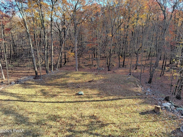 4409 Middleton Dr, Milford, PA 18337 - view of grassy yard
