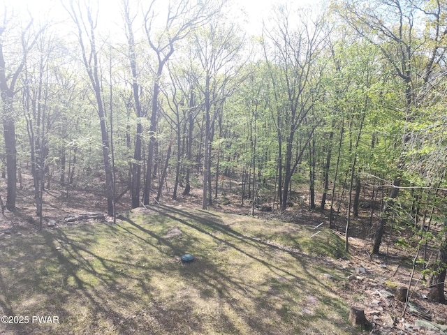 4409 Middleton Dr, Milford, PA 18337 - view of yard