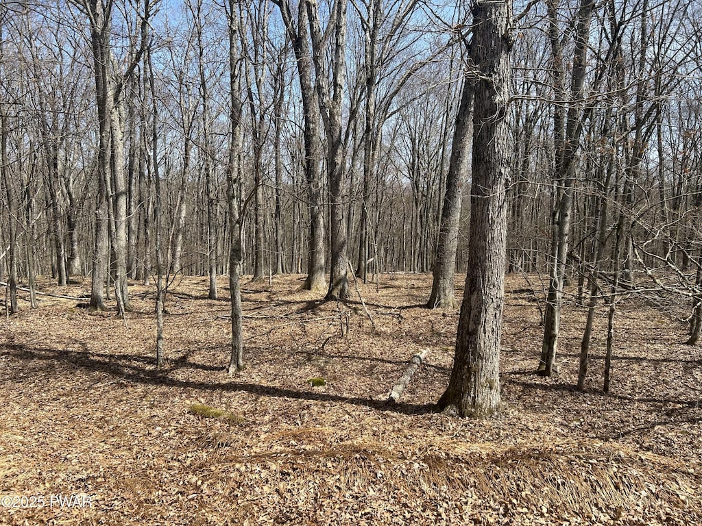 139 Rim Rock Ln, Hawley, PA 18428