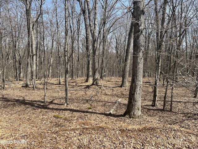139 Rim Rock Ln, Hawley, PA 18428