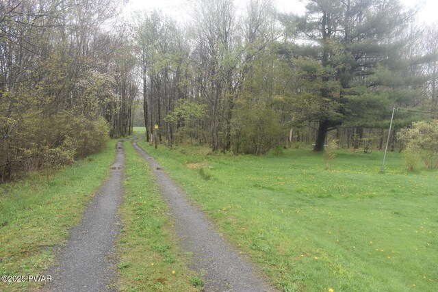 183 School House Rd, Thompson, PA 18465 - photo 7