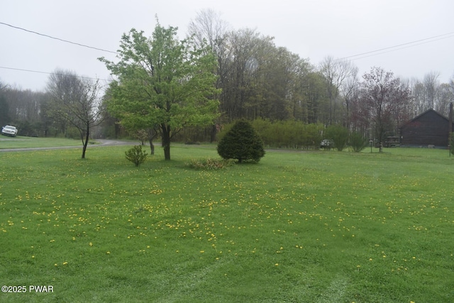 183 School House Rd, Thompson, PA 18465 - photo 10