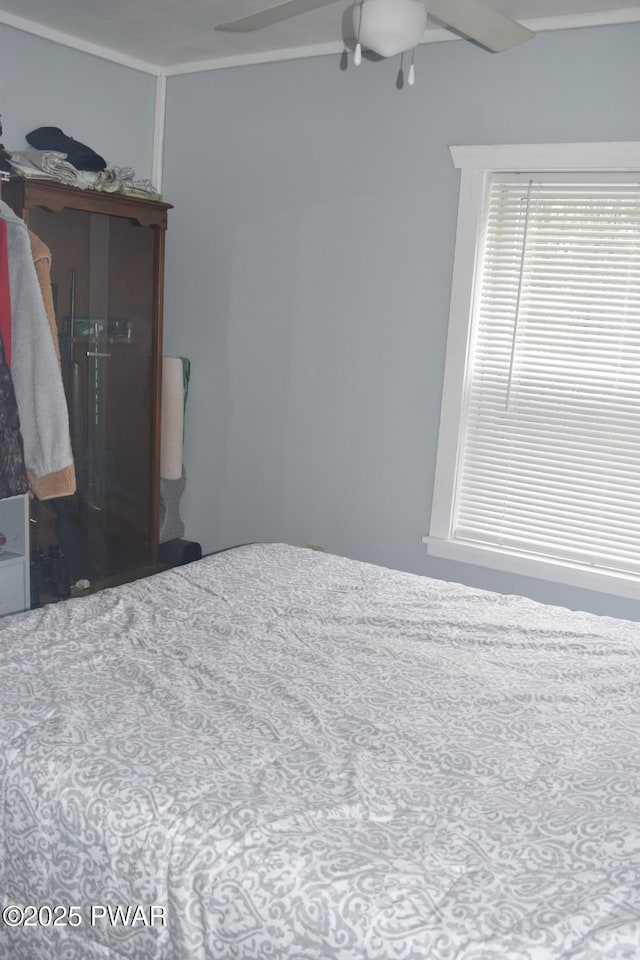 183 School House Rd, Thompson, PA 18465 - photo 17