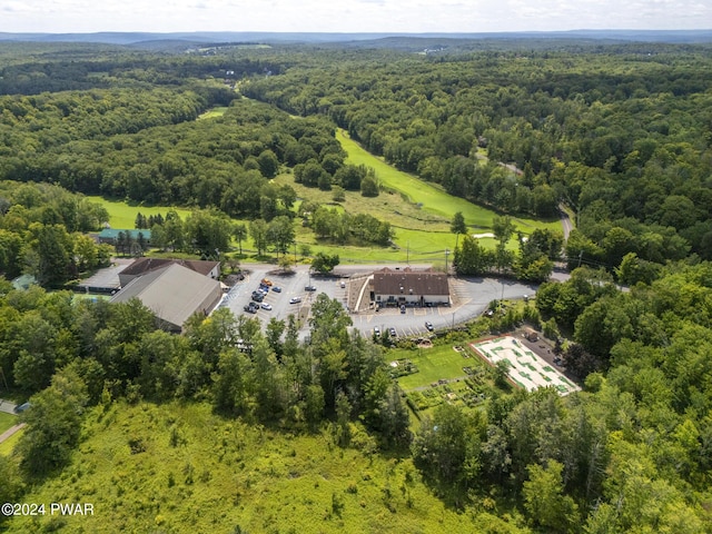 23 S Fairway Dr, Lake Ariel, PA 18436 - bird's eye view of a forest