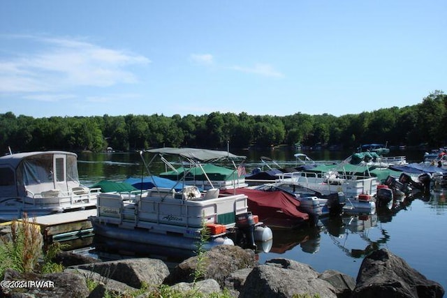 dock area with a water view and a forest view