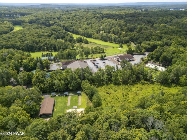 23 S Fairway Dr, Lake Ariel, PA 18436 - aerial overview of property's location with a forest