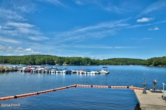 view of dock featuring a water view and a forest view