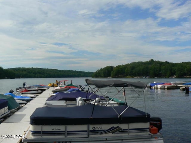 view of dock featuring a water view and a view of trees