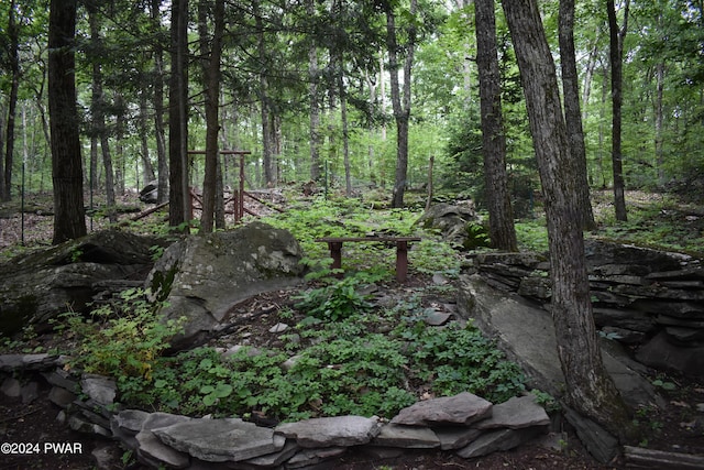 view of local wilderness