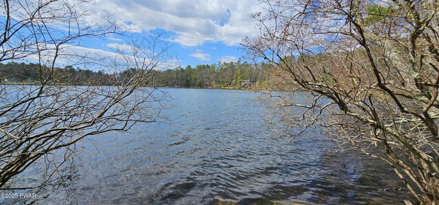 198 Eldred Yulan Rd, Yulan, Ny, NY 12792 - photo 11