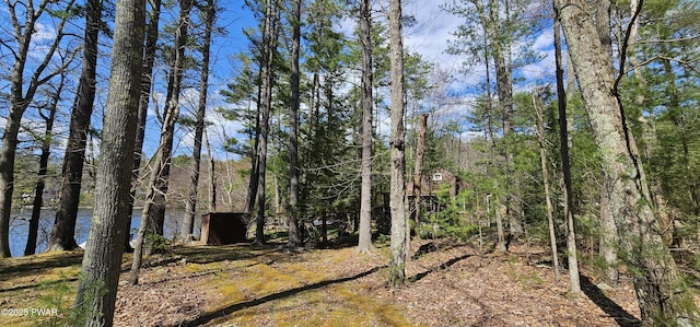 198 Eldred Yulan Rd, Yulan, Ny, NY 12792 - photo 16