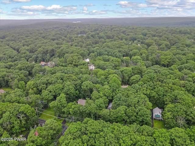102 Keystone Ct, Dingmans Ferry, PA 18328 - drone / aerial view of a heavily wooded area