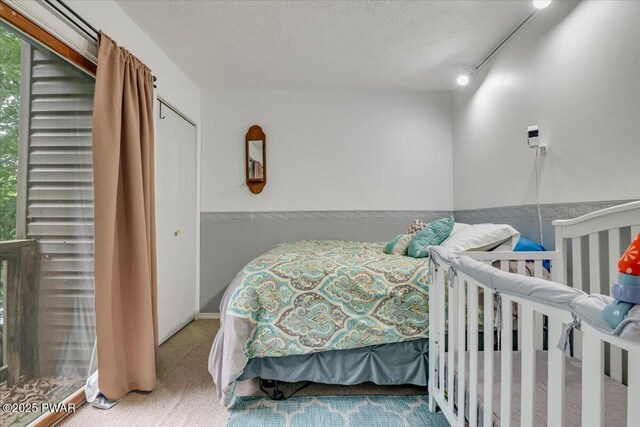 102 Keystone Ct, Dingmans Ferry, PA 18328 - bedroom with carpet and a textured ceiling