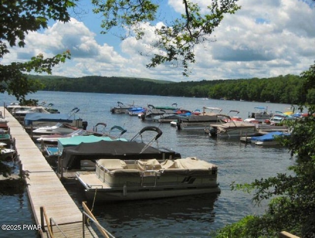 dock with a water view and a forest view