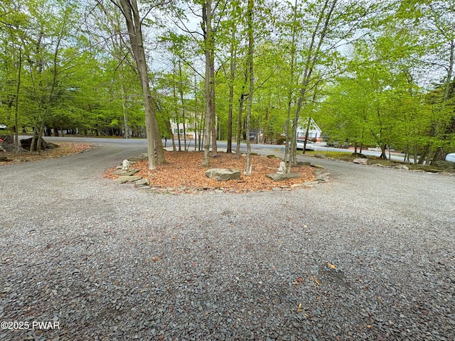 view of dirt / gravel road