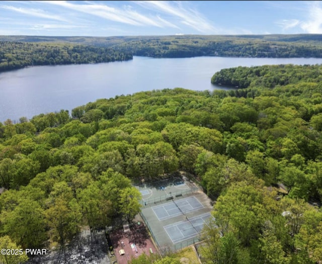 aerial view of a forest and a nearby body of water