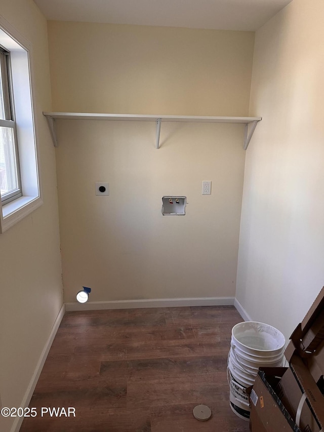 washroom featuring hookup for a washing machine and dark hardwood / wood-style floors