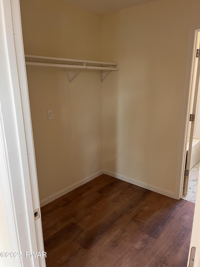 walk in closet featuring dark wood-type flooring