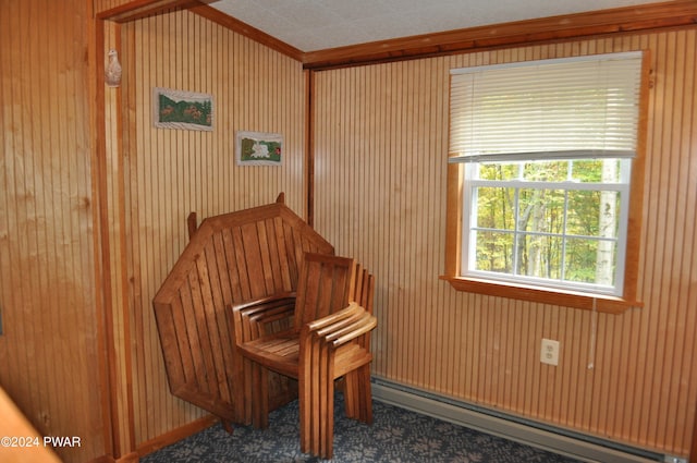 sitting room with carpet flooring and baseboard heating