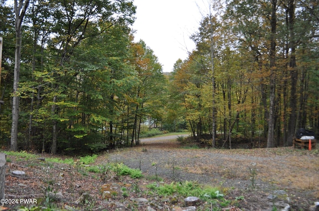 view of landscape with a forest view