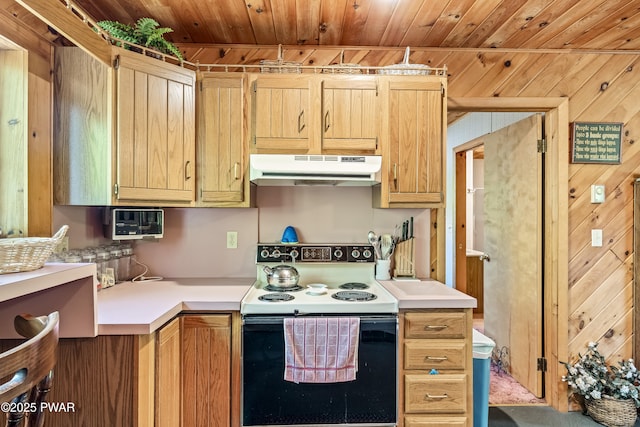 10 Sandy Ct, Lake Ariel, PA 18436 - photo 5