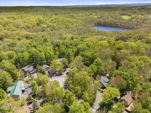 10 Sandy Ct, Lake Ariel, PA 18436 - photo 46