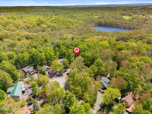 10 Sandy Ct, Lake Ariel, PA 18436 - photo 47