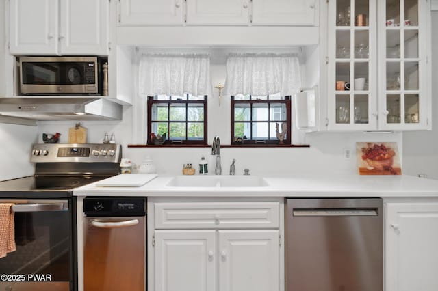 kitchen featuring a sink, appliances with stainless steel finishes, white cabinetry, and glass insert cabinets