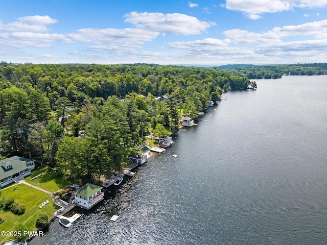 aerial view featuring a water view and a forest view