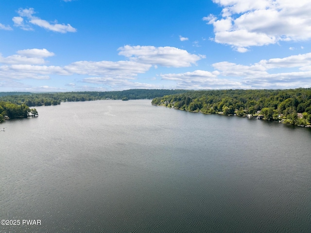 property view of water with a forest view