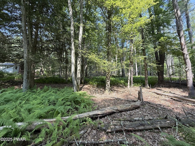 Church Rd, Hawley, PA 18428