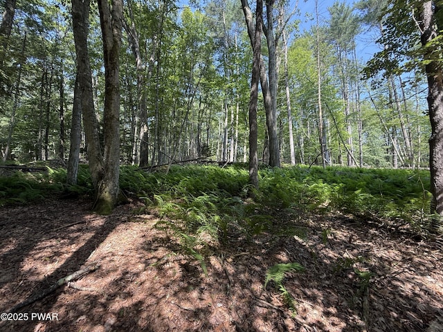 Church Rd, Hawley, PA 18428