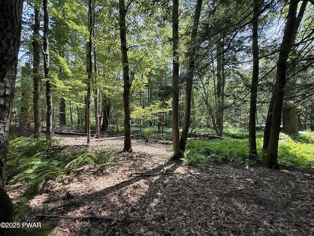 Church Rd, Hawley, PA 18428