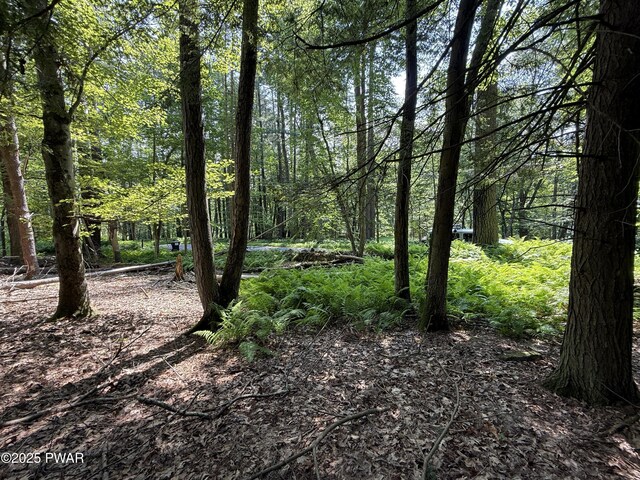 Church Rd, Hawley, PA 18428